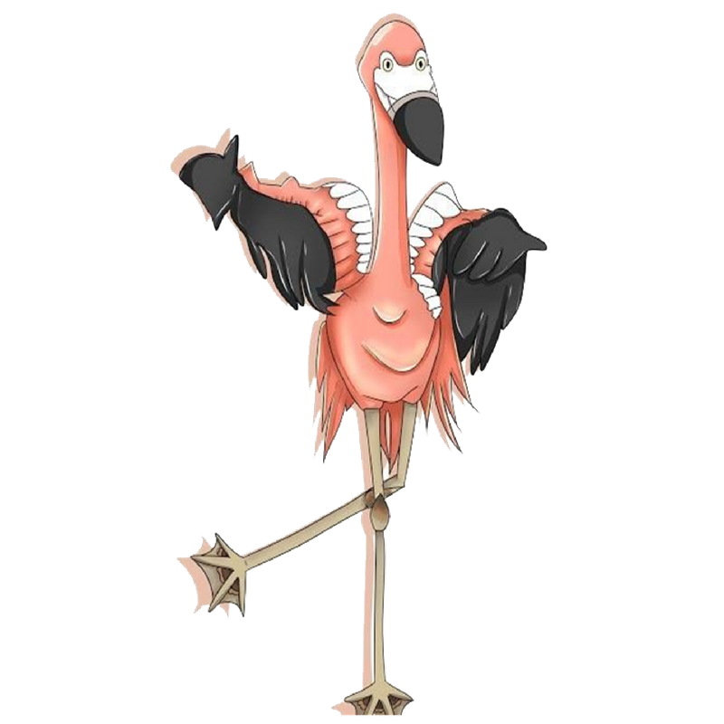Dominic the Flamingo